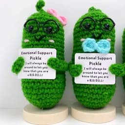 Cute Handmade Plush Doll Knitted Cucumber Décor with Positive Message Valentine's Day New Year Birthday Gift for Kid and Couples
