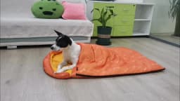 Dog Sleeping Bag Bone Pet Sleep Mat Outdoor Camping Warm Kennel Pad Dog Bed Blanket