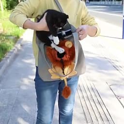 Soft Pet Carriers Lion Design Portable Breathable Bag Cats Dog Carrier Bags Outgoing Travel Pets Handbag with Safety Zippers