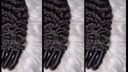 Human Hair Bulk Boho Braids Burmese Curly Bundles Human Hair Bulks For Bohemian Knotless Braiding Virgin Crochet Hair Extensions