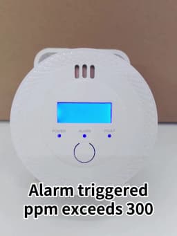 Carbon Monoxide Detector Independent Security Protection Gas Detector LCD Digital Display Home Warning Real-Time Alarm