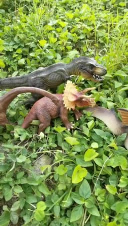 Simulational Dinosaur Figure Model Toy Plastic Dinosaur Toy Home Decoration Animals Model Collection Toy Kids Adult Gift