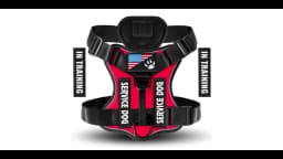 Dog Harness And Leash Set, Escape Proof No Pull Dog Vest Harness With Reflective Dog Walking Traction Rope