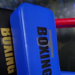 1 Piece Boxing Foot Target, Hand Target Pads, MMA Muay Thai Pads for Kicking Taekwondo, Kids Adults Boxing Training Equipment