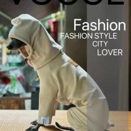 Dog Clothes for Italian Greyho with Hat Pure Color Four-legged Clothing Soft Stretchy Whippet Clothing Winter Warm Dog Clothing