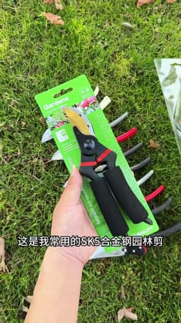 Labor-Saving Gardening Pruning Trees Cut Pruning Shears SK-5 Blade Scissors for Bonsai/Fruit Tree/Flowers/Branches Garden Pruner