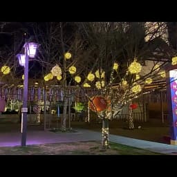 Christmas LED Rattan Ball String Lights Outdoor 20CM 30CM Fairy Garden Lights Garland for Party Wedding Patio Tree Street Decor