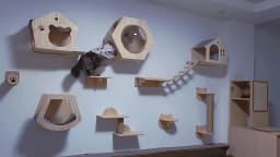Wall Mounted Cat Climbing Shelf Wooden Hammock Bed Steps Perch Scratching Post Indoor Cat Furniture For Kitten Playing Sleeping