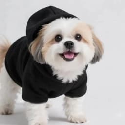 Customized Pet Hooded Sweatshirt Cats & Dogs Winter Warm Clothes Large-Sized Dog Clothing Teddy Golden Retriever All Cats