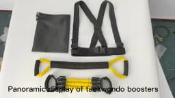 Boxing Resistance Band,Muay Thai,Karate,Exercise Arm Strength,Taekwondo Training, Pull Rope, Workout Sport, Portable Equipment