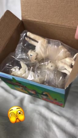 6Pcs Simulation White Lion Family Animals Model Toy Mini Lions Figures Dolls Action Figurines Toys for Children Set Gift