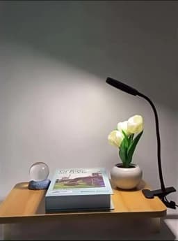 Reading Desk Lamp Bed Dimmable, 3 Modes & 10 Dimming Levels USB Clamp Lamps 360° Flexible Book Clip