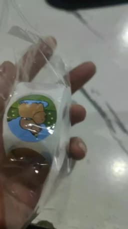 500Pcs Capybara Stickers Roll 1'' Cute Animal Stickers for Kids Stickers,Teacher Reward Supplies Colorful Stickers for Classroom