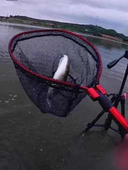 HISTAR Ultralight Portable Soft Rubber Mesh With Stainless Steel Handle Fly Fishing Tool Accessories Foldable Landing Net