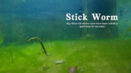 NOEBY Stick Worm Soft Lure 15.5cm 6" 8.4g Bubble Bult Drop Shot Silicone Artificial Soft Bait Bass Pike Swimbait Fishing Lures