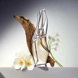 Donna Karan Cashmere Mist Eau De Parfum Women Perfume Soft Woody Floral Musk Scent 100ml 3.4 FL OZ Long Lasting Fragrance Spray For Female