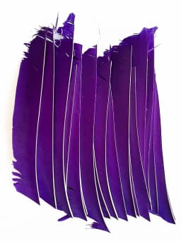 LW 50 Pcs Full Length (7-10 inch) Archery Fletches Natural Tureky Feathers Hunting Arrow Fletching for Bow DIY Accessories