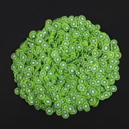 1000-3000pcs Mix Fruit Soft Clay Slime Animal Flower Slice Resin Filler for Nail Art Epoxy Mold DIY Craft Making Wholesale