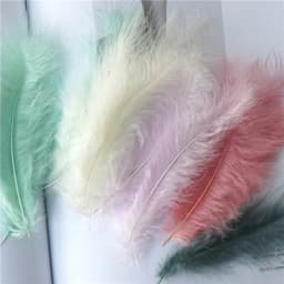 Natural Feathers 10-15cm Turkey Plume 4-6 Inches Chicken Feather Colorful Plumas Para Manualidades For Wedding Dress Decoration