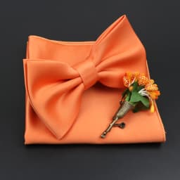 Mens Wedding Bow Tie Brooch Set Romantic Solid Color Silk Polyester Jacquard Woven Bowtie Lapel Pin Hanky Men Gifts Accessories