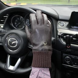 Motorcycle Riding Touch Screen Deerskin Gloves Men's Wool Lining Threaded Sleeves Winter Warm Car Driving Leather Finger Gloves