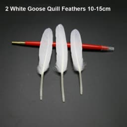50Pcs/Lot! White Ostrich Goose Pheasant Feathers for Crafts Chicken Turkey Feather Wedding Party Accessories Decoration Plumes