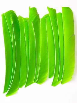 100PCS 18-25CM Full Length Turkey Arrow Feathers DIY Hunting Bow Arrow Accessories Archery Fletching Right Wing Vanes
