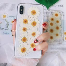 100Pcs Real Natural White Daisy Pressed Flower for Resin Jewelry Nail Stickers Makeup Art Crafts