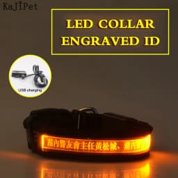 Engraved ID LED Dog Collar Luminous USB Custom Dog Tag Personalized Nylon Pet Dog Collar Led USB Light Night Safety Collar Perro