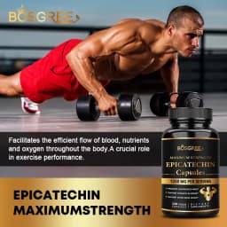 Epicatechin Capsules - Protein Synthesis, Athletic Ability, Strength, and Lean Muscle Support - Carnosine Inhibitors Supplements