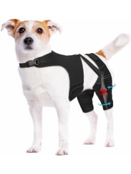 Dog Knee Brace for Torn ACL Hind Leg, Puppy Leg Brace Helps Reduce Pain from Torn CCL, Luxating Patella, Ligament, Hip Dysplasia