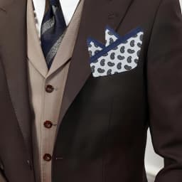 Tailor Smith Man Suit Handkerchief Pocket Square for Classic Paisley Handkerchiefs Wedding Business Accessories