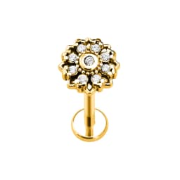 Heart Bird Flower Butterfly Labret Piercing Eye Shape Daith Conch Earring Teardrop CZ Lip Stud 316L Surgical Steel 16G