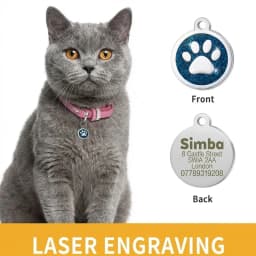 Free Personalized Dog Cat Plate Tags Engraved Puppy Pet ID Name Collar Tag Alloy Paw Glitter Pendant Pets Dogs Accessories