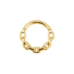 Flower Moon Heart Tush Teardrop Septum Piercing Drop Clicker Segment Nose Ring Daith Conch Hoop Earring 316L Surgical Steel 16G