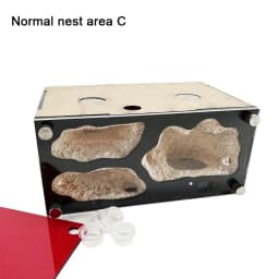 Concrete Ant Farm Intelligent Temperature Control Ants Nest Spliceable Expanded Anthill Ant House Acrylic Ant Kennel Insect Box