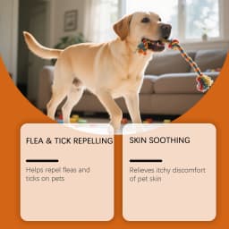 Anti Flea Tick Pet Shampoo Clean Fur Eliminate Fleas Ticks Repel Parasites Soothe Irritated Skin Gentle Dog Cat Grooming Shampoo