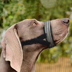 Reflective Tactical Masks for Medium Large Dogs Weimaraner Labrador Type 7 Semi Closed Pet Mouth Cover Big Dog Accessories