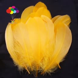 100PCS Soft Goose Feathers 5-7 Inch/13-18cm For Wedding Party Decoration Carnival Diy Facinator