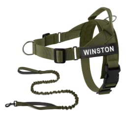Custom Name No Pull Dog Harness Elastic Buffer Leash Set Adjustable Reflective Nylon Walking Lead for Small Medium Large Dogs