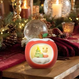 Fruit-Shaped House Christmas Night Light,Sleepy Cat Atmosphere Lamp Touch Control,USB Rechargeable LED Bedside Lamp with 3-Level