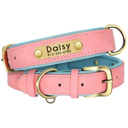 Personalized Leather Padded Dog Collar Customized ID Nameplate Pet Collars For Small Medium Dogs Durable Necklaces Accessories