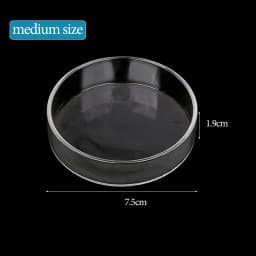 Shrimp Feeding Dish High Transparent Glass Feeding Dish Fish for Tank Clear Feeder Bowl Aquarium Fish Tank Reptiles Feeder
