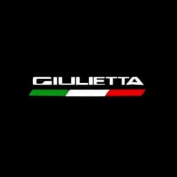 2 LED Car Door Logo Lamp Projector Laser Lights For Alfa Romeo Accessories Stelvio Brera Spider Giulia Giulietta 159 166 GT Mito