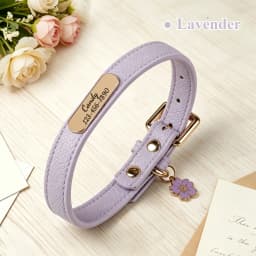 Personalized PU Leather Dog Collar Free Custom Dog Name Collars Pet Puppy Necklace With Cute Tag Soft For Small Medium Dogs Cats