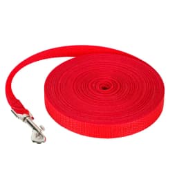 Longer Pet Leashes Rope Outdoor Training Running Dog Leash Belt PP Dogs Lead for Chihuahua Small and Large Dog Product