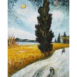 Famous Artist Van Gogh Starry Sky Iris Flower Sunrise Landscape DIY 11CT Cross Stitch Embroidery Kits Sale