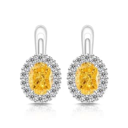 Exquisite Ice Flower-Cut Pigeon Egg 925 Sterling Silver Earrings with High-Carat Diamond Egg-Shaped Earrings for Ladies' Jewelry