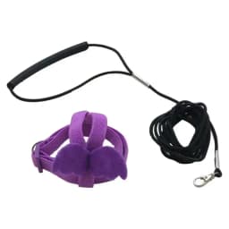 Parrot Training Harness Leash Set Anti-Bite Outdoor Flying Rope For Cockatiels Small Birds Supplies