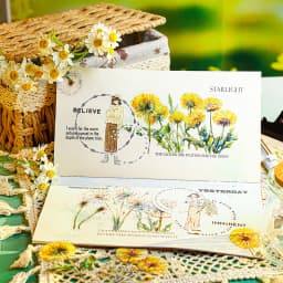10 pcs Dandelion stickers DIY Scrapbooking Planner Collage Diary Supplies Aesthetics Sticker Stationery